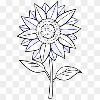 Drawn Flower Sunflower - Easy Sun Flower Drawing Clipart