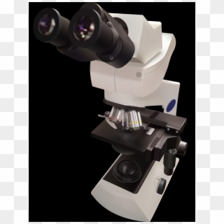Microscope Clipart