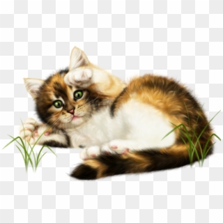 #kitten #kitty #cat #cute #playtime #layingdown #ftestickers - Schönen Sonntag Wünsch Ich Euch Clipart
