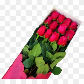 Caja 12 Rosas Rojas - Caja De 12 Rosas Clipart
