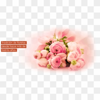 High Resolution Rose Clipart