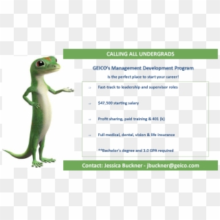 Image For Huong Dang's Linkedin Activity Called University - Geico Gecko Clipart