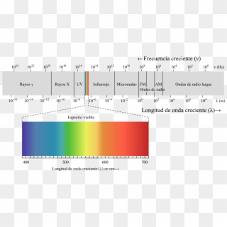 Los Efectos De Estas Radiaciones Son Acumulativos, - Electromagnetic Spectrum Clipart