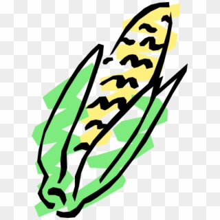 Vector Illustration Of Corn On The Cob Grain Plant Clipart
