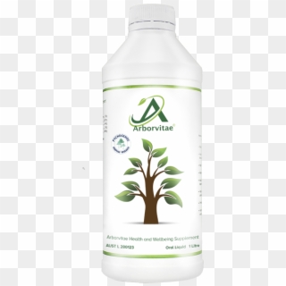 Arborvitae Health And Wellbeing Supplement - パル システム 石鹸 食器 洗剤 Clipart
