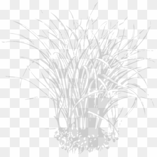 Aligned Partners - Erdmandel Clipart