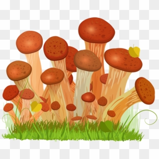Honey Fungus Edible Mushroom Euclidean Vector Drawing - Honey Fungus Clipart