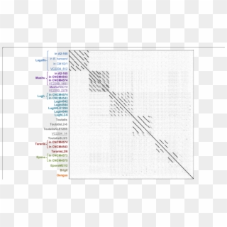 Whole Genome Dot Plot Of The 23 F - Monochrome Clipart