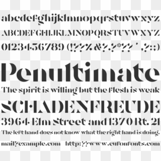 Tostada Font Preview - Calligraphy Clipart