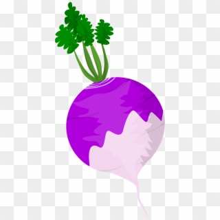 Vegetables Clipart Turnip - Clip Art Of Turnip - Png Download
