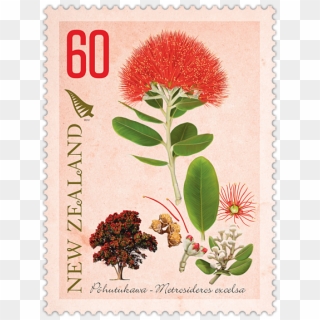 Pohutukawa - Postage Stamp Clipart