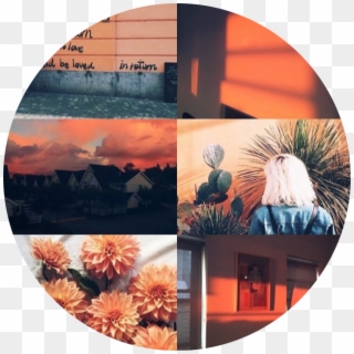 Fullsize Of Orange Aesthetic Tumblr - Charlotte Name Aesthetic Clipart