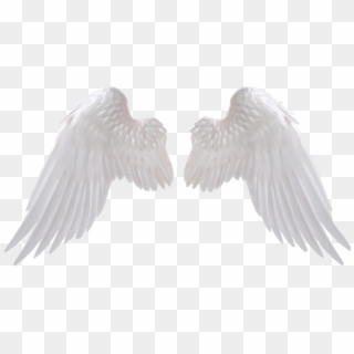 #icon #white #angel #angels #angelbaby #w #h #i - Angel Wings Png Hd Clipart