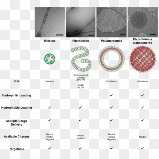Diverse-nanocarrier - Circle Clipart