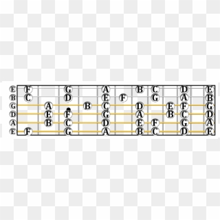 All C Major Notes On The Guitar Fretboard From Frets - C Major Scale Guitar Neck Clipart