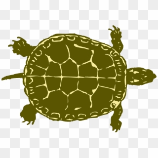 Turtle Tank Size Calculator - Tortoise Clipart