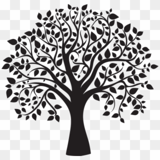 Arbre Silhouette Png - Tree Clipart Black And White Transparent Png