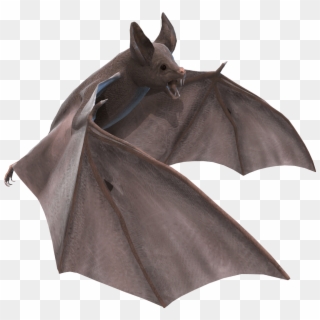 Animals - Bat Stock Clipart