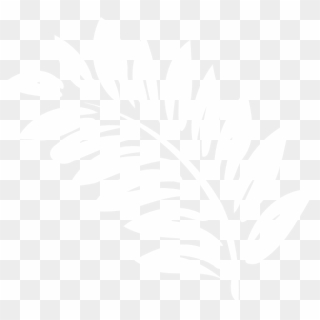 Small - White Fern Clipart Png Transparent Png
