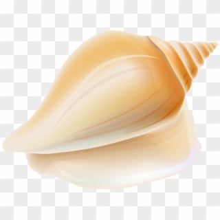 Transparent Seashell Png Clipart - Hawaiian Seashell Clipart