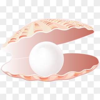 Seashell Open Png Clipart
