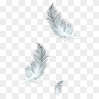 Thumb Image - Falling Feathers Transparent Background Clipart