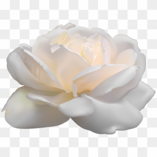 Free Png Download White Rose Png Images Background - Artificial Flower Clipart