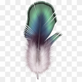 Download Feather Png Images Background - Floating Feather Clipart Transparent Background