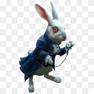 Фотки Rabbit Png, Alice In Wonderland Rabbit, Alice - White Rabbit Wonderland Png Clipart