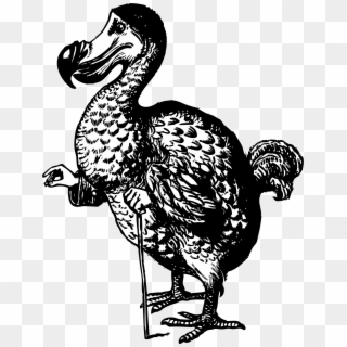 This Free Icons Png Design Of The Dodo From Alice In Clipart