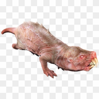 Image Mole Rat Fo4 Png Fallout Wiki Fandom Powered Clipart