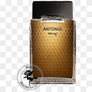 عطر ادکلن آنتونیو باندراس آنتونیو Antonio Banderas - Antonio Banderas Clipart