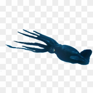 Animalgiant Squid - Eagle Clipart