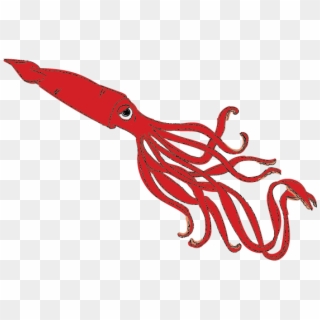 Deepest Documented Giant Squid Sighting - Octopus Clipart