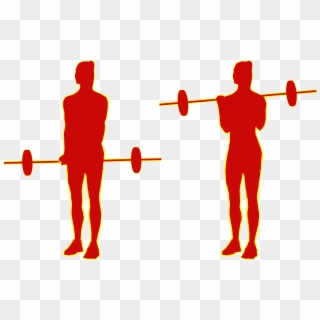 Barbell Or Cable-curls 21s - Powerlifting Clipart
