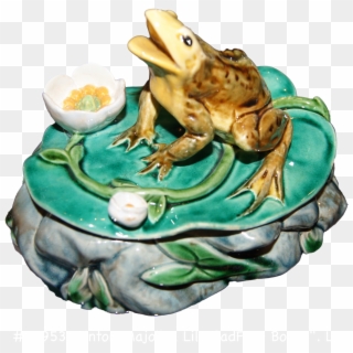 Home Also We Do Not Offer Appraisal - Colorado River Toad Clipart