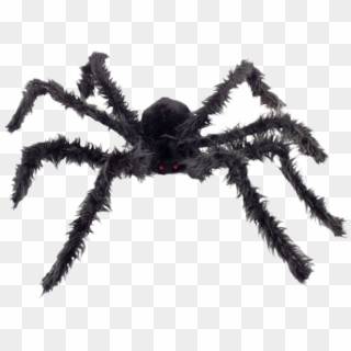 Giant Hairy Spider - Zirneklis Clipart