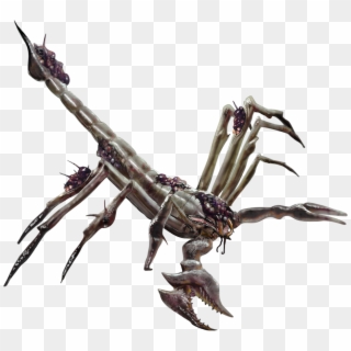 Giant Scorpions - Insect Clipart
