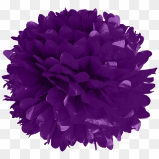 Purple Tissue Pom Poms - Purple Flower Pom Pom Png Clipart