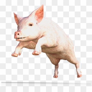 Pig Png Transparent Images - Domestic Pig Clipart
