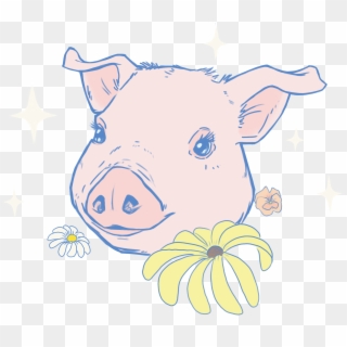 Domestic Pig , Png Download - Domestic Pig Clipart