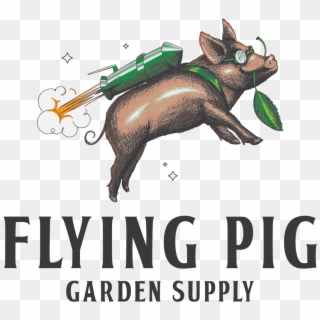 Flying Pig Png , Png Download - Fun Logos Clipart