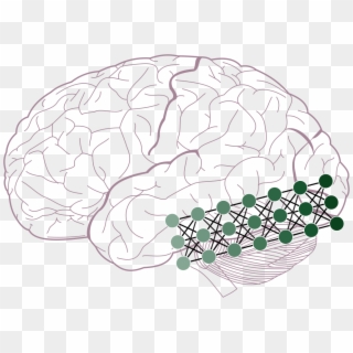 Figure 2b From Guest And Love - Lobes Of The Brain Clipart