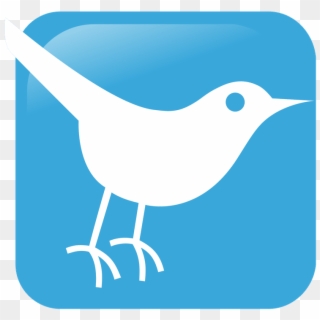 Twitter Blue Bird Icon - Social Media Clipart
