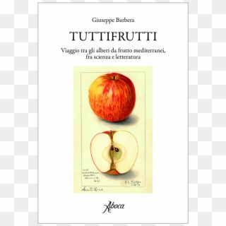 Picture Of Tuttifrutti - Mcintosh Clipart