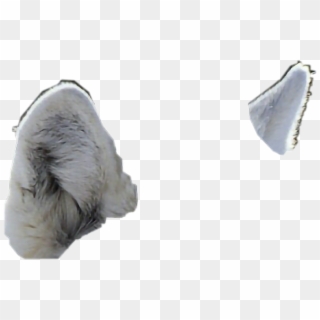 Wolf Ears Png - Transparent Wolf Ears Clipart