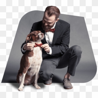 Human Approach - Companion Dog Clipart