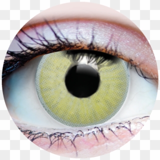 Primal Grace Jade Contacts - Primal Contact Lenses Xray Clipart