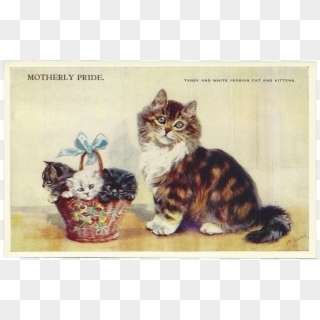 Kitten Clipart Mama Cat - Kitten - Png Download