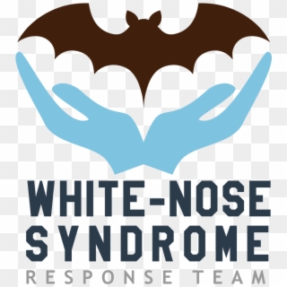 See Https - //www - Whitenosesyndrome - Org/static-page/our - Poster Clipart